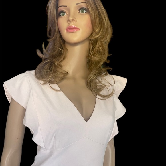 New! Dkny Women's Dress Blush Pink Size
10 A-Line V-Neck Flutter Sleeve - Picture 7 of 16